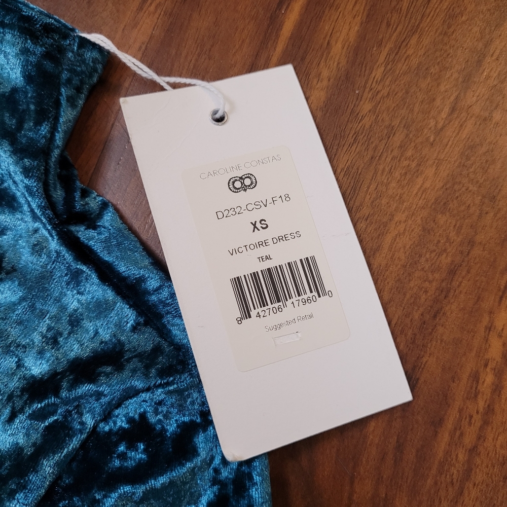 Caroline Constas New York Crushed Velvet Victorie Dress - Picture 7 of 10